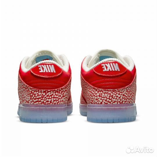 Nike X stingwater SB dunk LOW magic mushroom