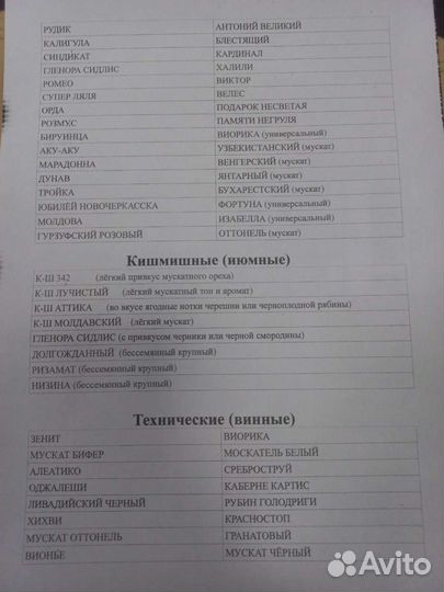 Черенки и Саженцы винограда