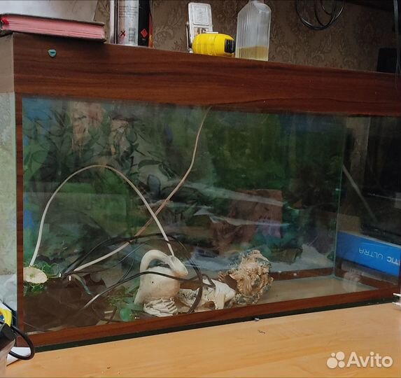 Аквариум на 60 литров