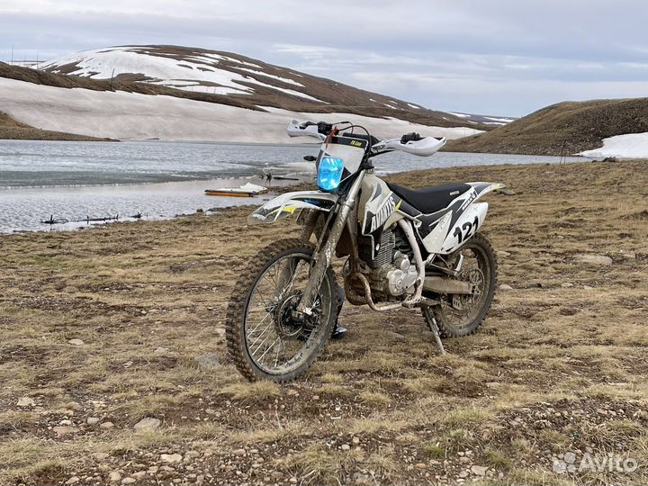 Avantis fx250 lux