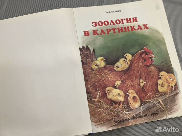 Детские книжки СССР Зоология в картинках