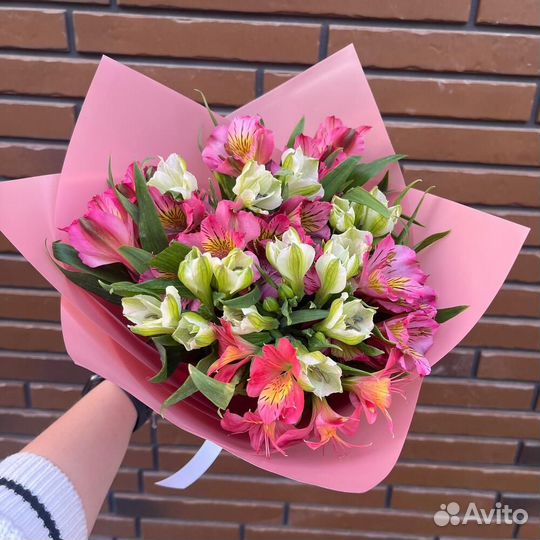 Альстромерия микс 75 шт