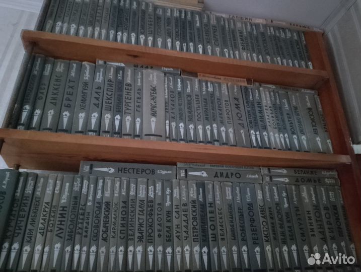 Серия биографий Жизнь замечательных людей