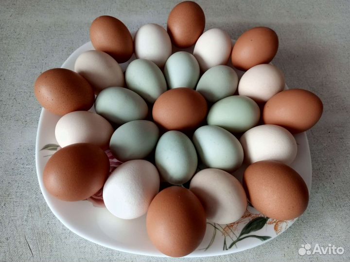 Козье молоко, яйцо