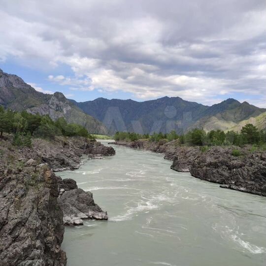 Участок 50 сот. (СНТ, ДНП)