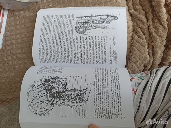 Учебник по анатомии