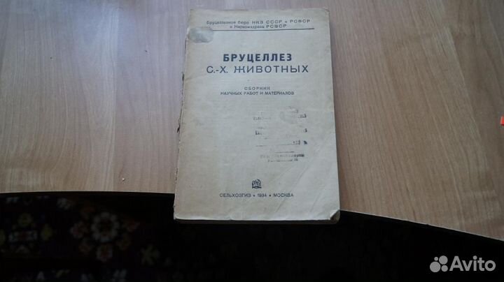Бруцеллез сельскохозяйственных животных. 1934 год