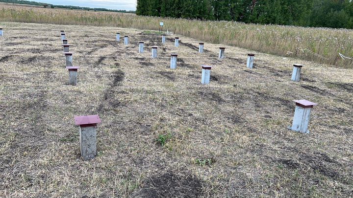 Участок 16 сот. (ИЖС)