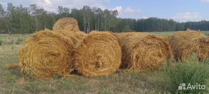 Солома в рулонах
