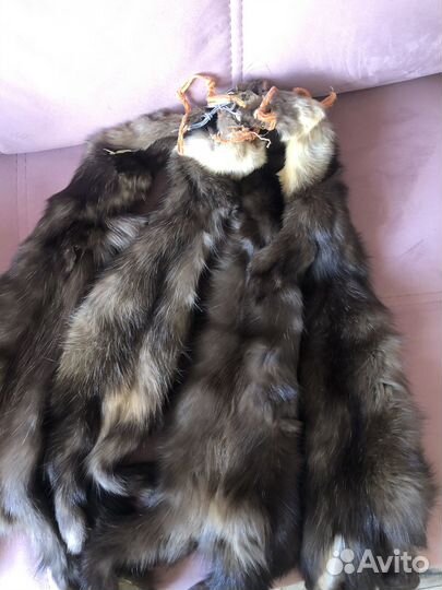 Шкурки соболя