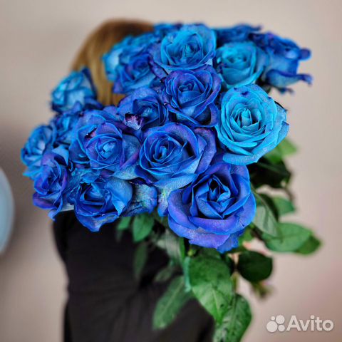 Синие розы букет синих роз