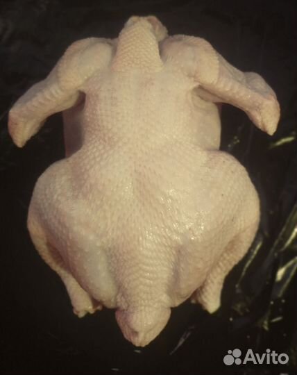 Мясо домашнего бройлера