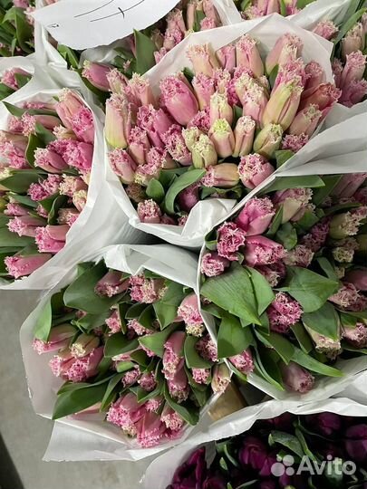 Тюльпаны к 8 марта оптом