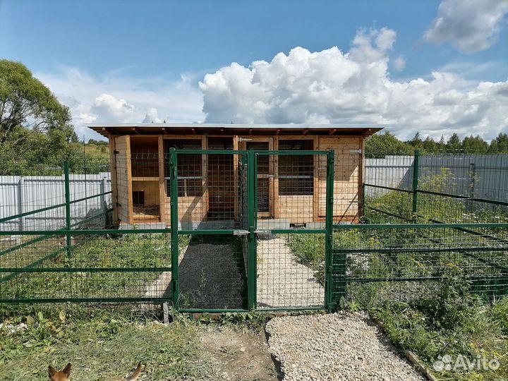 Загородная передержка для собак посуточно/помесячн