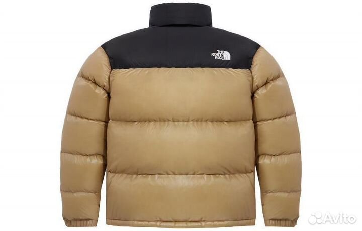 THE north face Down Jacket Men Light Beige (M)(77)