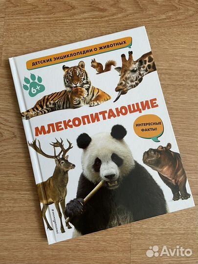 Детские энциклопедии