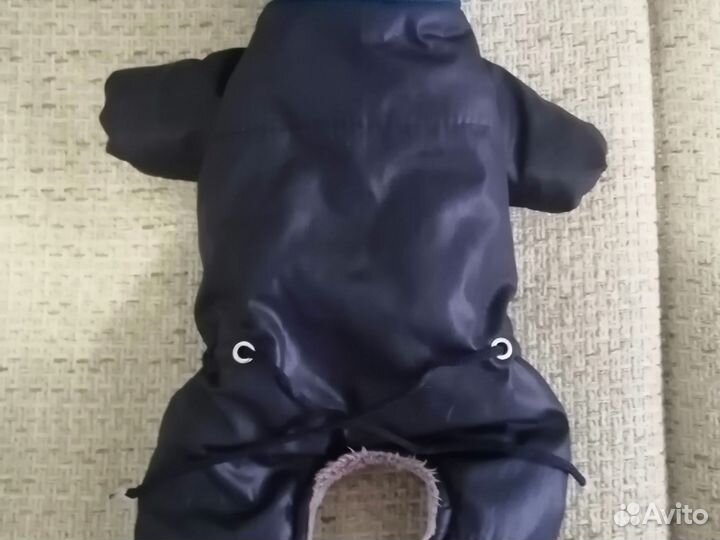 Зимняя одежда для собак мелких пород