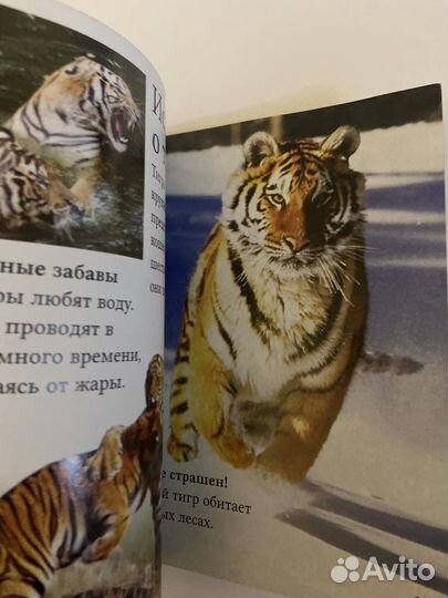 Книги хэппи мил