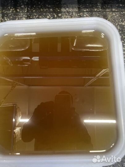 Свежий цветочный мёд, качка 2023 год опт