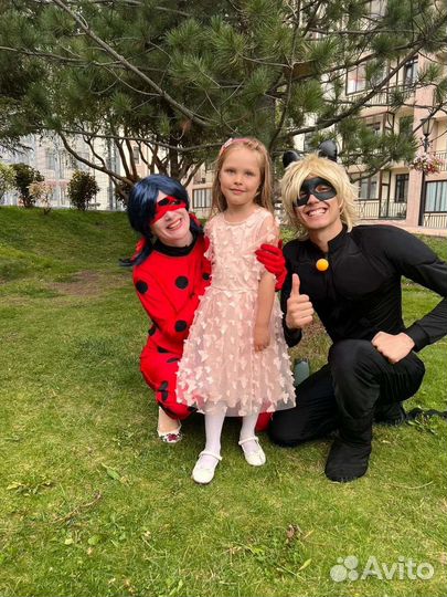 Аниматоры,аквагрим,Дед Мороз и Снегурочка, шоу про