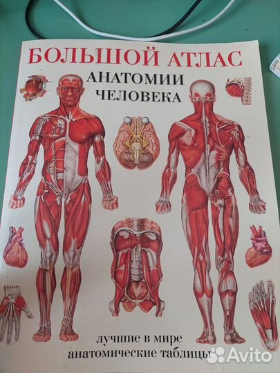 Атлас анатомии человека