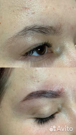 Брови, модели на брови