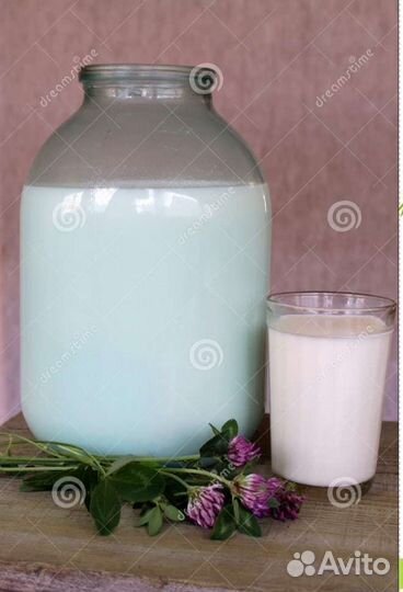 Молоко и молочные продукты