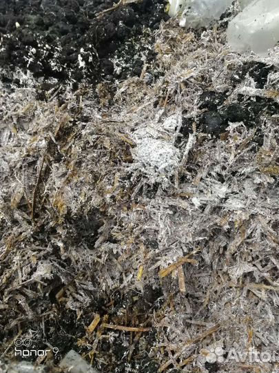 Компост от шампиньонов