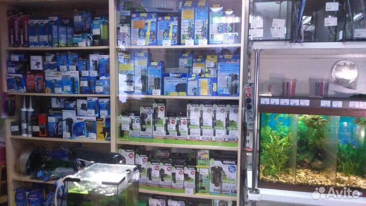 Аквариумные рыбки