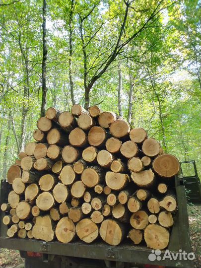 Дрова дубовые