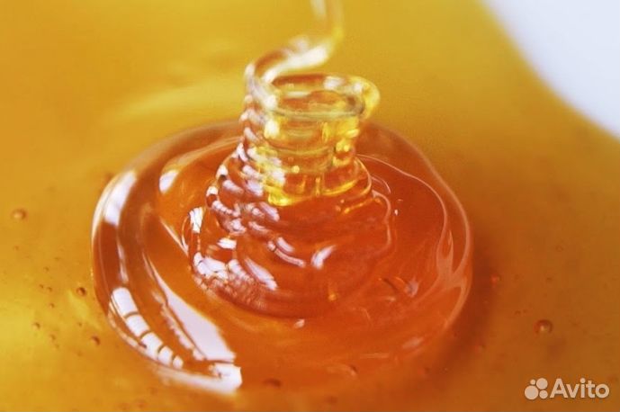Мёд натуральный Алтайский оптом min 16kg