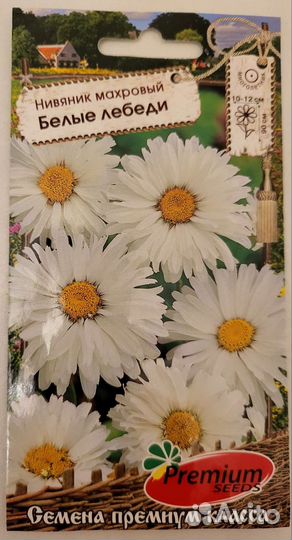 Семена Нивяника, колокольчиков