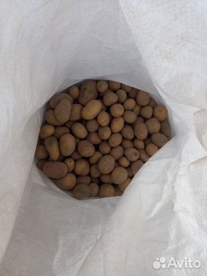 Картофель мелкий