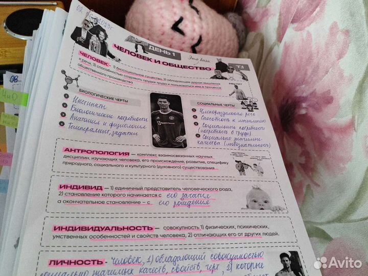 Теория с онлайн курсов для ЕГЭ обществознание/англ