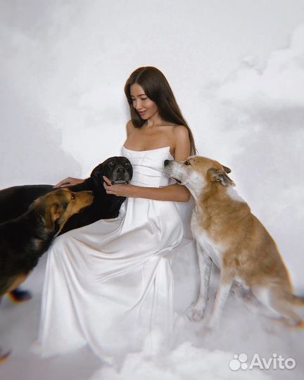 Зоопсихолог, кинолог, передержка, выезд/онлайн