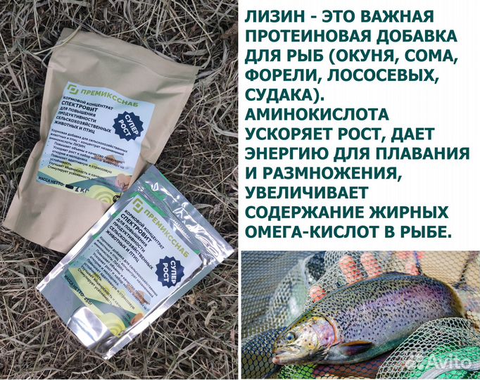 Лизин Кормовая добавка для с/х животных и птиц