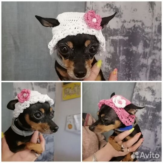 Летние шапочки для маленьких собачек