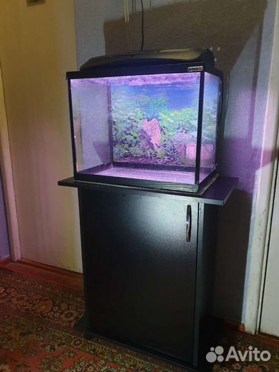 Аквариум