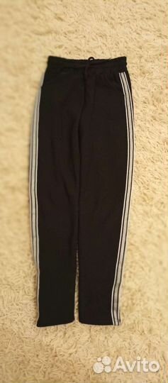 Легенцы спортивные