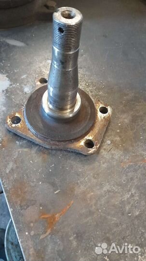 Цапфа соболь