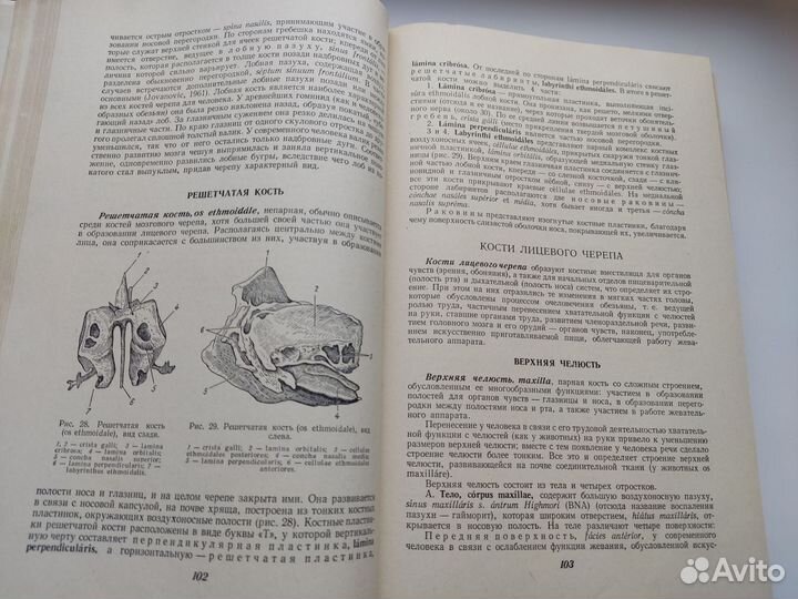 Книги Анатомия человека Топографическая анатомия