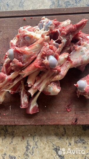 Мясо барашка