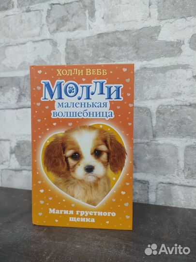 Молли маленькая волшебница Холли Вебб