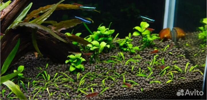 Аквариум на 85 литров со всем оборудованием