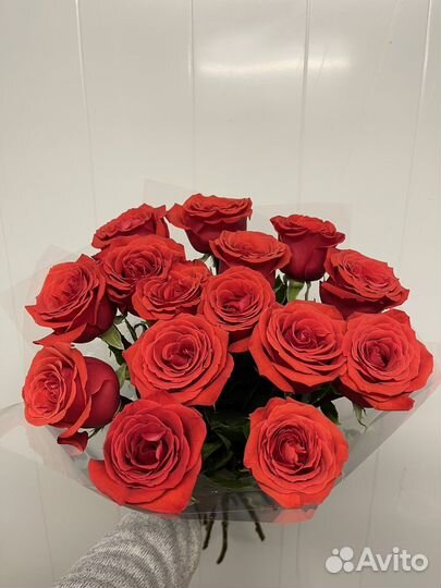 Цветы Розы и Букеты с доставкой оптом 60см