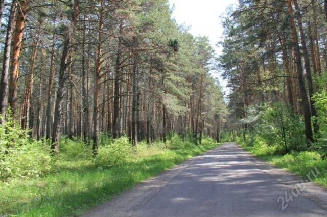 Дом 40 м² на участке 9 сот.