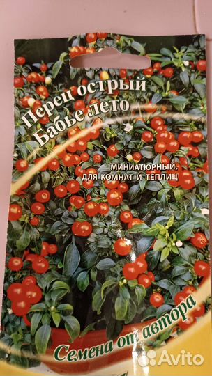 Рассада комнатных острых перцев
