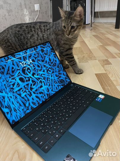 Премиальный алюминиевый Huawei Matebook X Pro 2021