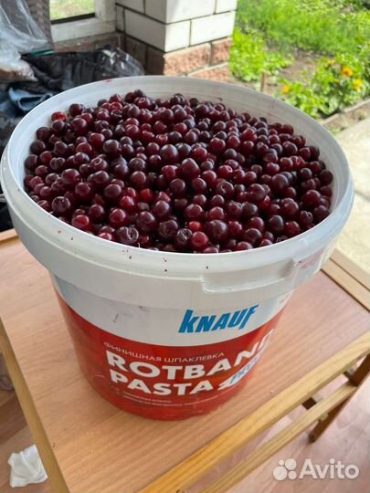 Продам вишню