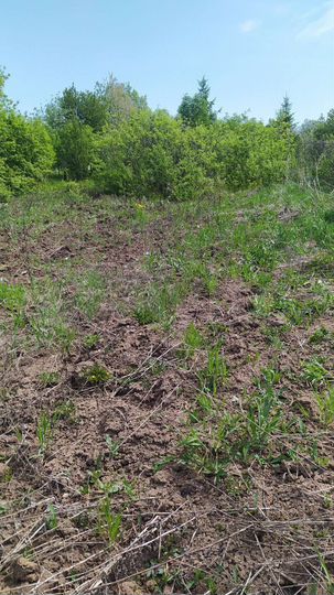 Участок 13 сот. (ИЖС)